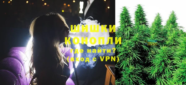 индика Зерноград