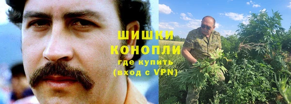 индика Зерноград