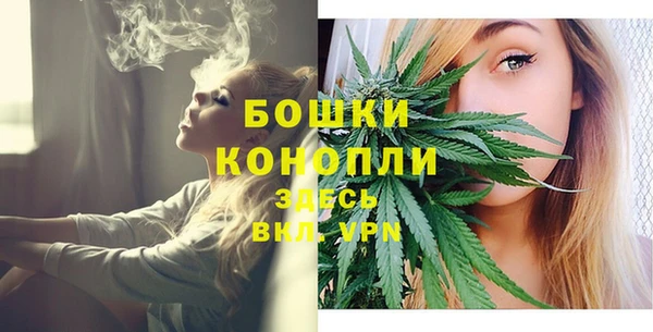 индика Зерноград