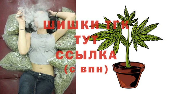 индика Зерноград