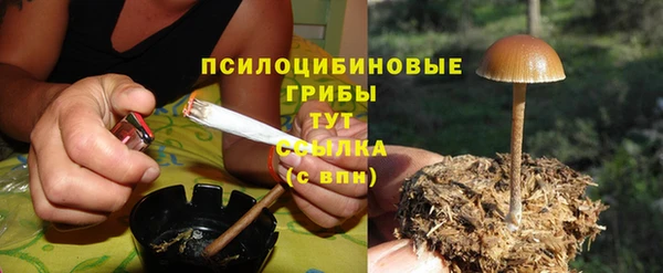 марихуана Зеленокумск