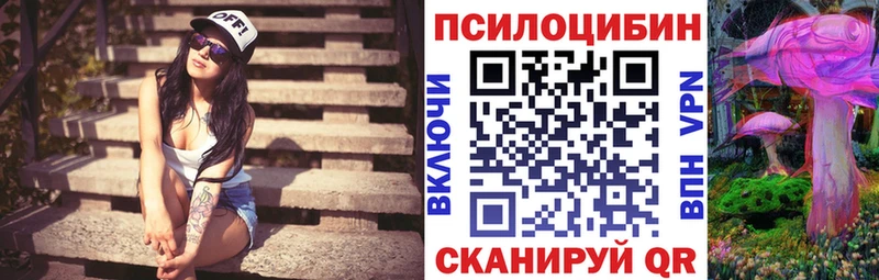 Купить  Кингисепп  Псилоцибиновые грибы Cubensis 
